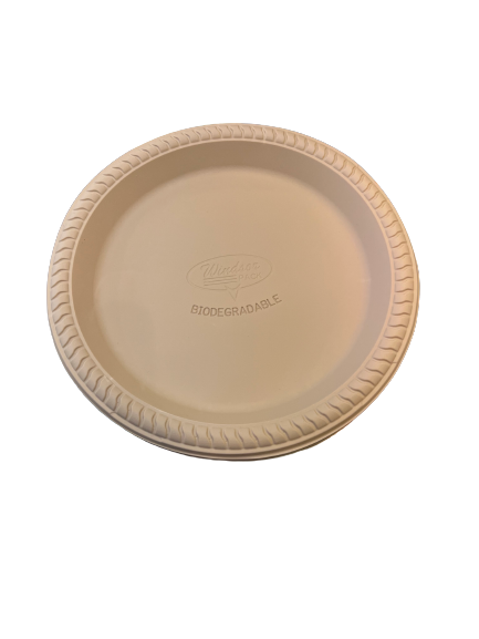 10 inch Disposable Plate 25 Pack