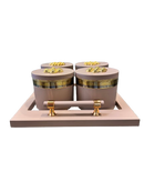 Utility/serving Container Phantom Plus 4 Set Acralic Containers with Airtight Lid (4 colours)