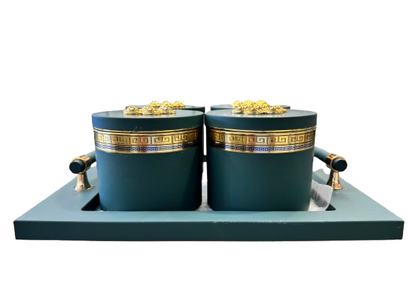 Utility/serving Container Phantom Plus 4 Set Acralic Containers with Airtight Lid (4 colours)