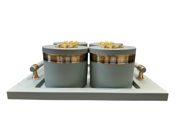 Utility/serving Container Phantom Plus 4 Set Acralic Containers with Airtight Lid (4 colours)