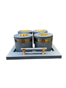 Utility/serving Container Phantom Plus 4 Set Acralic Containers with Airtight Lid (4 colours)