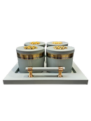 Utility/serving Container Phantom Plus 4 Set Acralic Containers with Airtight Lid (4 colours)