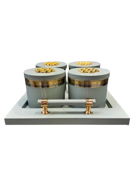 Utility/serving Container Phantom Plus 4 Set Acralic Containers with Airtight Lid (4 colours)