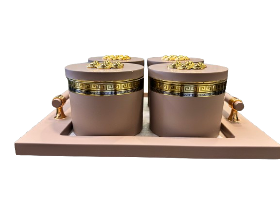 Utility/serving Container Phantom Plus 4 Set Acralic Containers with Airtight Lid (4 colours)