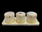 Selvel Polypropylene Utility/serving Container Linex (Pack of 3)