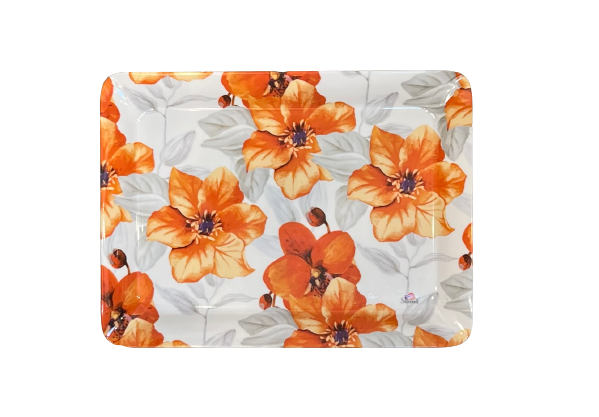 Dno 71 Stylo Tray melamine 31x23cm