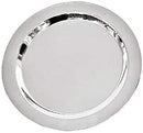 Dolphin Stainless Steel plate