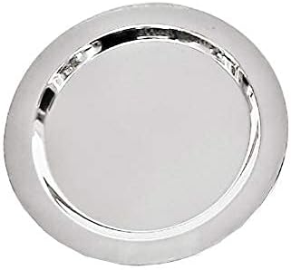 Dolphin Stainless Steel plate