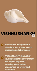 Antique Laxmi Narayan Shankh or lakshmi vishnu shankh pair