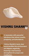 Antique Laxmi Narayan Shankh or lakshmi vishnu shankh pair