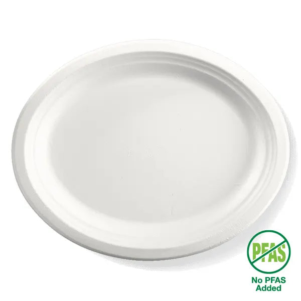 10 inch Disposable Plate 8 Pack