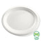 10 inch Disposable Plate 8 Pack