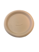 10 inch Disposable Plate 25 Pack