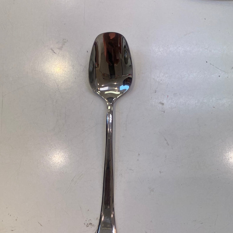 Stainless Steel Spoon Single (1 Piece)