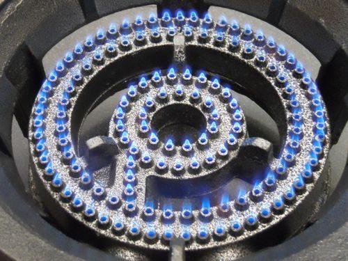 Auto Ignition LARGE 2 Ring Burner Cast Iron Gas Burner Wok Burner Cooker Stove(Generation Brand) - The Kitchen Warehouse