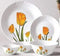 La Opala Tulip Passion 27pc Dinner set - The Kitchen Warehouse