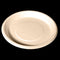 Eco Tap 10 inch Disposable Plate 25 Pack - The Kitchen Warehouse