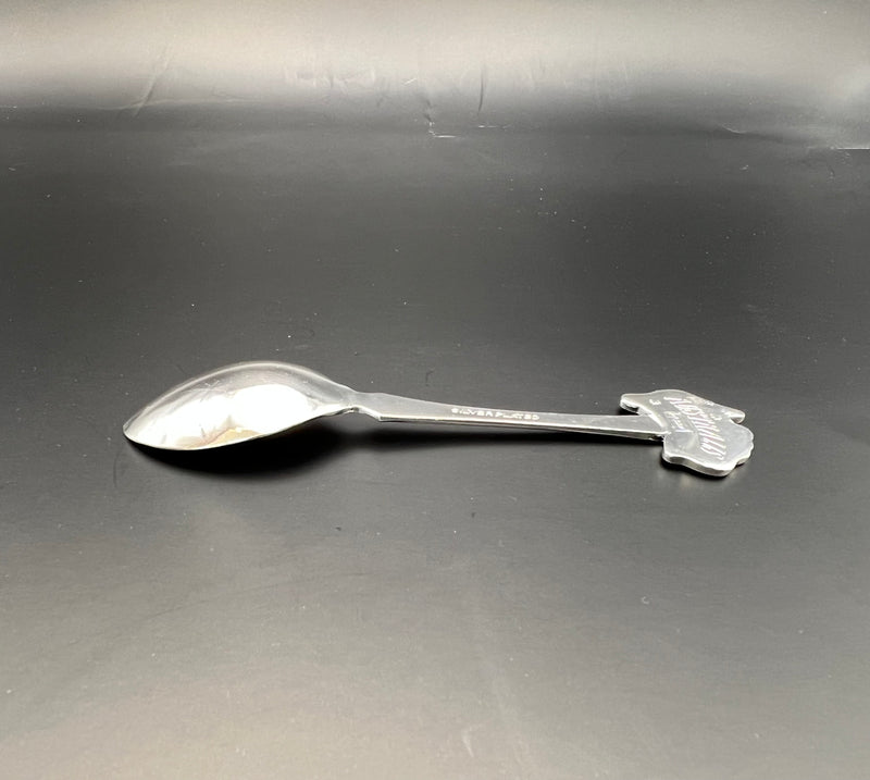 Silver plated spoon